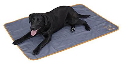 Hooi Dispenser Pony 115 l KS (670x810x500mm)