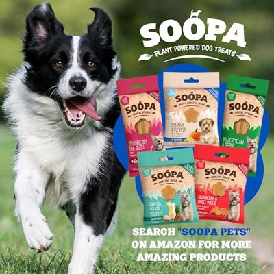 Soopa Dental Sticks met appel en bosbes voor de hond Per stuk