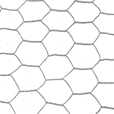 Nature gaas zeskantig verzinkt 50 cm x 3 meter 25mm