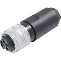 binder 99 2442 42 04-20 Bus, recht Totaal aantal polen: 4 + PE Serie (ronde connectoren): 820 1 stuk(s) - thumbnail