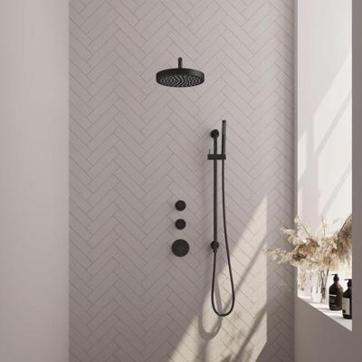 Brauer Stripe thermostatische inbouw regendouche SET 08 met 25 cm douchekop en gebogen muurarm en staaf handdouche en doucheslang en geintegreerde glijstang mat zwart