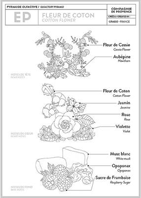 Compagnie De Provence Cotton Flower Hand Cream - thumbnail