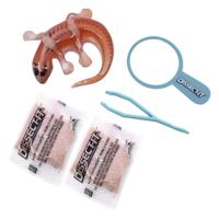 DISSECT-IT Ontleed een Salamander met Vergrootglas - thumbnail