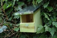 Roodborst nestkast vogelhuisje - thumbnail