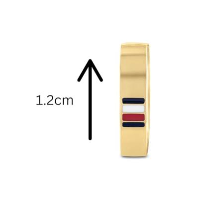 Dames oorbellen Tommy Hilfiger 2790586 Gouden