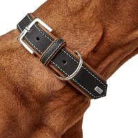 HUNTER Hondenhalsband Porto, zwart/cognac, Maat: 30 - thumbnail