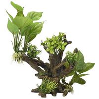 Aqua Della Flora Scape Nummer 4 Aquariumwortel, 20,5 x 19 x 23 cm - thumbnail
