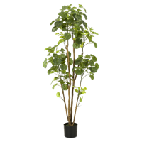 Emerald kunstboom in pot aralia 160 cm - thumbnail