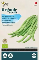 Stokspekboon - Neckarkönigin (BIO) - thumbnail