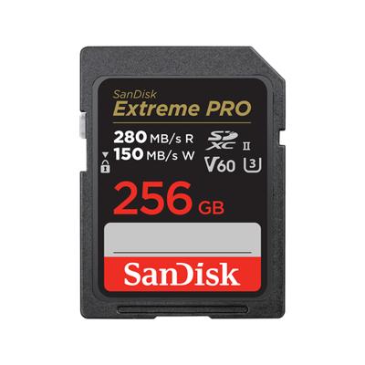 SanDisk SDSDXEP-256G-GN4IN flashgeheugen 256 GB SDXC UHS-II Klasse 10