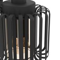 Eglo PadverlichtingSelinus zwart - 900684 - thumbnail