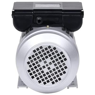 VidaXL Elektromotor 1 fase 2,2 kw/3 pk 2-polig 2800 rpm aluminium