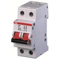 ABB 2CDE282001R0025 E202/25R Lastscheider 2-polig - thumbnail