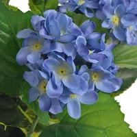 VidaXL Kunst hortensia plant met pot 60 cm blauw - thumbnail