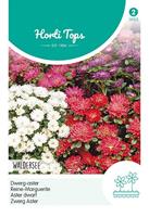 Zaden Callistephus Dwerg-aster Waldersee gemengd Hortitops - Hortitops - thumbnail