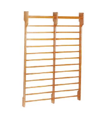 Toorx Dual Wallbar - Dubbele wandrek 180 x 250