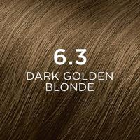 Phytocolor Permanente Haarkleuring 6.3 Donker Goudblond Intense en Natuurlijke Kleur - thumbnail