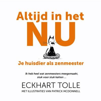 Altijd in het nu - Eckhart Tolle - Hardcover (9789020215601)