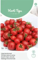 Zaden Kerstomaat Tiny Tim Hortitops - Hortitops - thumbnail