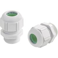 LAPP 53111417 Wartel M16 Polyamide Grijs-wit (RAL 7035) 1 stuk(s) - thumbnail