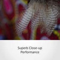 Sony SEL 16-55/F2.8 G - thumbnail