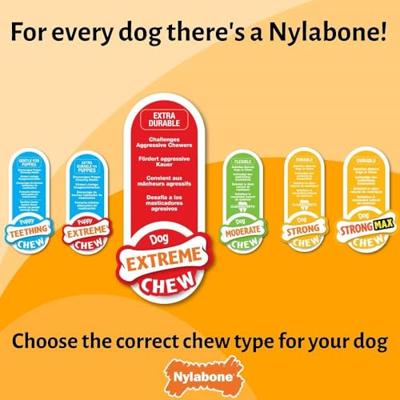 Nylabone, Basted Blast, Extreem sterk kauwspeelgoed, Nylon hondenspeeltje, Botvorm, Duurzaam kaauwbot, Smaak: bacon en steak, Medium, Voor honden tot 16 kg