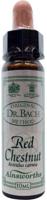 Ainsworths Red Chestnut Bach 10 Milliliter - thumbnail