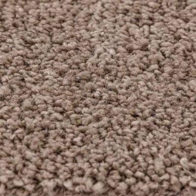 Badmat 2 pcs Bruin 50 x 50 cm Polypropyleen Badmat 2 pcs Bruin 50 x 50 cm Polypropyleen