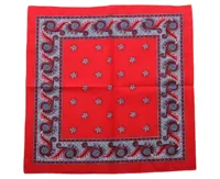 Harlekijn zakdoek rood 55 x 55 cm - Katoenen boerenzakdoek - HRBZ045 - HRBZ045 - HRBZ045 - HRBZ045 - HRBZ045 - HRBZ045 - HRBZ045 - HRBZ045 - - thumbnail
