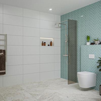 Fortifura Galeria inloopdouche - 40x200cm - rookglas - wandarm - Geborsteld RVS PVD (RVS) SW797934/SW797908