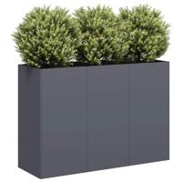 VidaXL Plantenbak 120x40x80 cm koudgewalst staal antracietkleurig - thumbnail