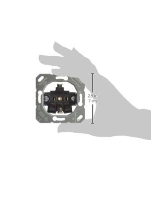 Jung CD1520GB Wandcontactdoos met randaarde Inzetstuk 1-voudig Brons 1 stuk(s)