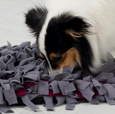 TRIXIE ACTIVITY SNUFFELMAT ASSORTI - thumbnail
