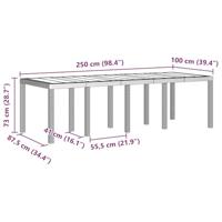 VidaXL Tuin Tafel Lichtgrijs 250 x 100 x 73 cm Poly Rattan - thumbnail