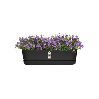 Elho Bak greenville trough long 70cm Zwart Elho Bak greenville trough long 70cm Zwart