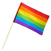 Boland Regenboog Zwaaivlag 76x45cm - thumbnail