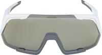 Olympic Sportswear Alpina sports sportbril rocket q-lite mat grijs - thumbnail