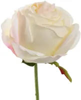 Pure Royal kunsttak roos 54cm crème - thumbnail