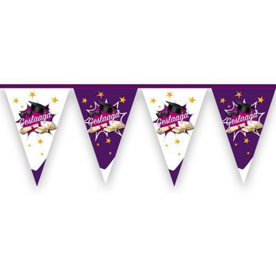 Vlaggenlijn geslaagd paars - 6 meter