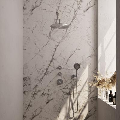 Inbouw Regendouche Set Brauer Brushed Edition Gebogen Wanduitloop Ronde Hoofddouche 30 cm Met Twee Stopkranen en Handdouche 3 Standen RVS Look Brauer