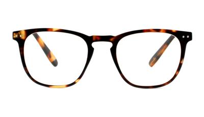 Leesbril INY Tailor G64900-Havanna-+3.00