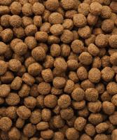 Versele-Laga Classic Puppy hondenvoer 2 x 10 kg - thumbnail