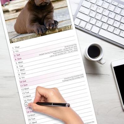 Labrador Retriever Bruin Kalender 2026 Slimline Labrador Retriever Bruin Kalender 2026 Slimline