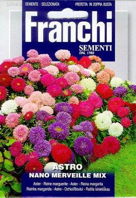 Aster Astro Nano merveille Mix 304/8 zaden Franchi - Franchi
