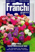 Aster Astro Nano merveille Mix 304/8 zaden Franchi - Franchi - thumbnail