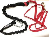 Neewa - dog racing tug line for 2 dogs - thumbnail