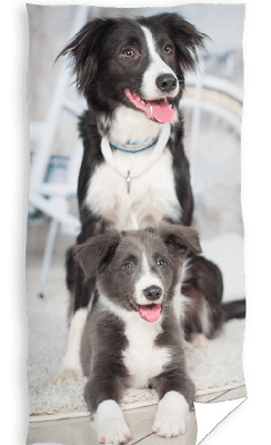 Strandlaken hond - 70 x 140 cm Strandlaken hond - 70 x 140 cm