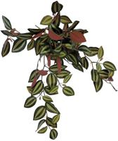 Plant hanging red back 46 cm Repto - Repto - thumbnail