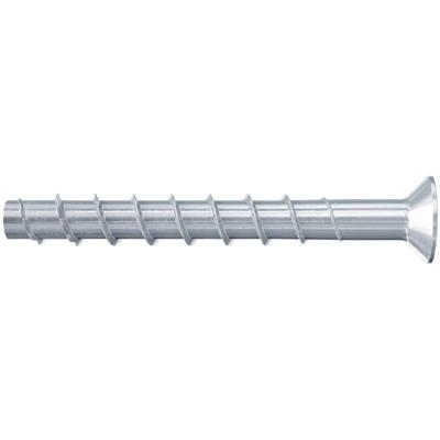 FISCHER FBS II 10x100 45/35/15 SK