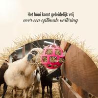 Hay Slowfeeder fun and flex 22 cm Roze Bal - thumbnail